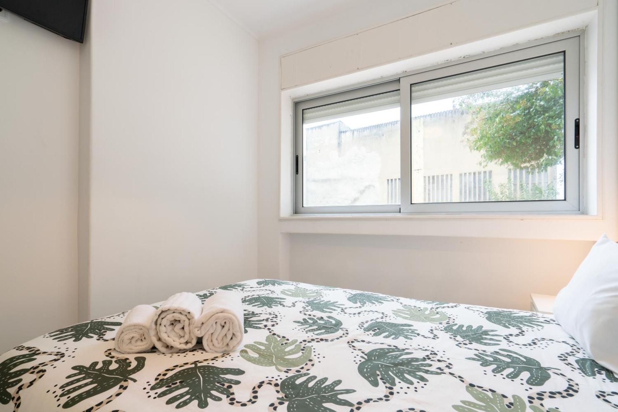 Moreira 284 — Photos 3